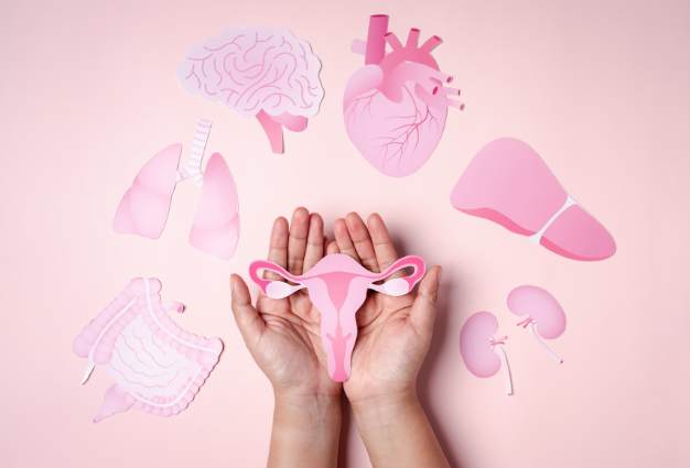 What Is a Luteinized Unruptured Follicle (LUF) and How Does It Affect Fertility?