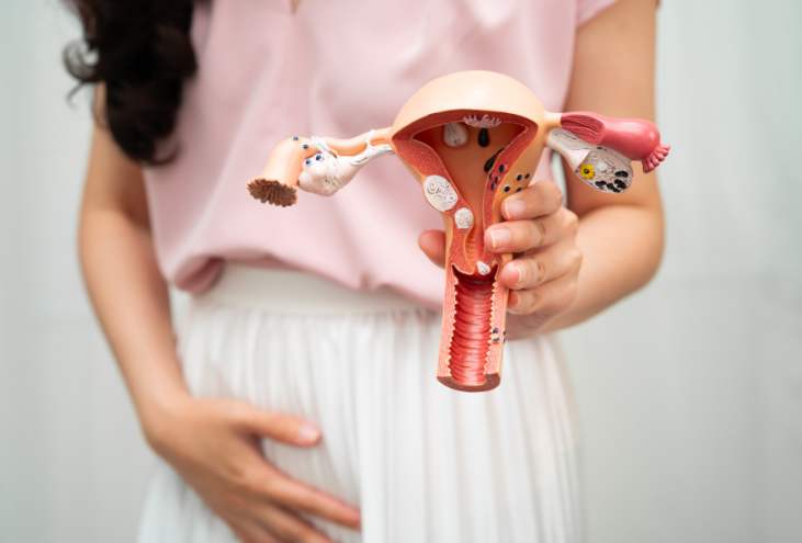 Uterine Blood Flow and Its Role in Implantation