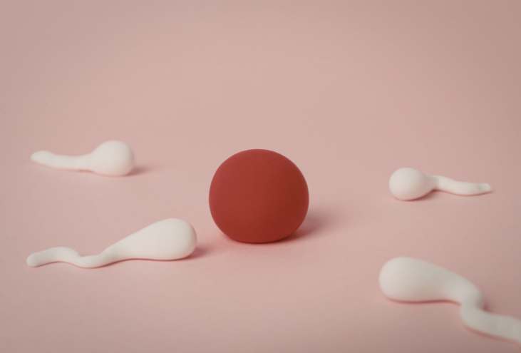 High AMH but Poor Egg Quality: How Is That Possible?