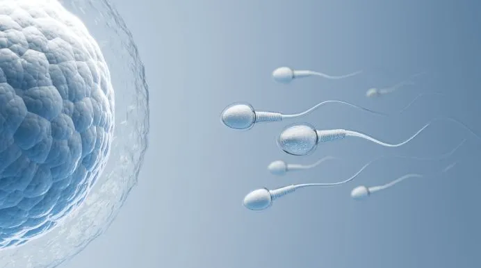 Egg Freezing: A Fertility Option for the Future