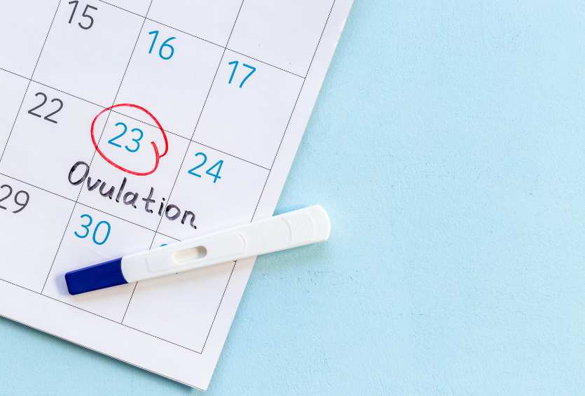 How to Track Ovulation: Simple Methods That Actually Work